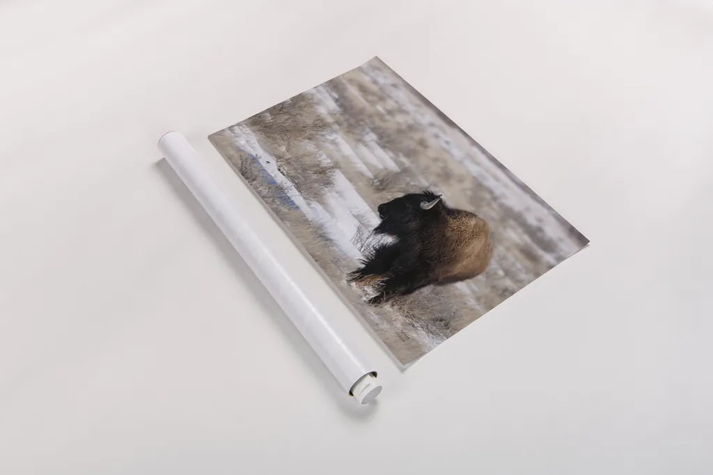 Lookout by Nathan Larson. shown as a rolled paper print. Available as archival giclee rolled canvas, fine art paper, or poster print. SKU 84325i.