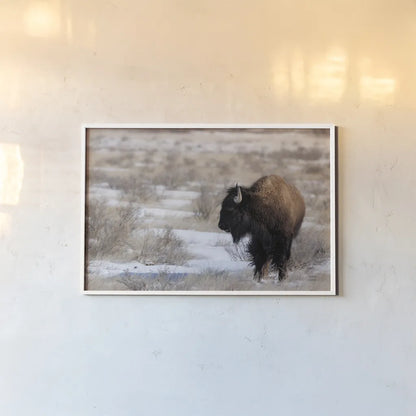 Lookout by Nathan Larson. shown as a paper print in a white frame. Available as a archival giclee rolled canvas, fine art paper, or poster print. SKU 84325i.