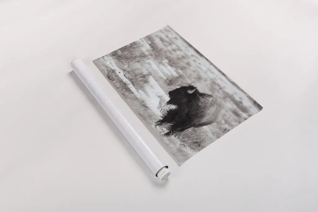 Lookout BW by Nathan Larson. shown as a rolled paper print. Available as archival giclee rolled canvas, fine art paper, or poster print. SKU 84326i.