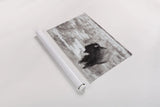 Lookout BW by Nathan Larson. shown as a rolled paper print. Available as archival giclee rolled canvas, fine art paper, or poster print. SKU 84326i.