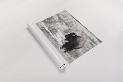 Lookout BW by Nathan Larson. shown as a rolled paper print. Available as archival giclee rolled canvas, fine art paper, or poster print. SKU 84326i.