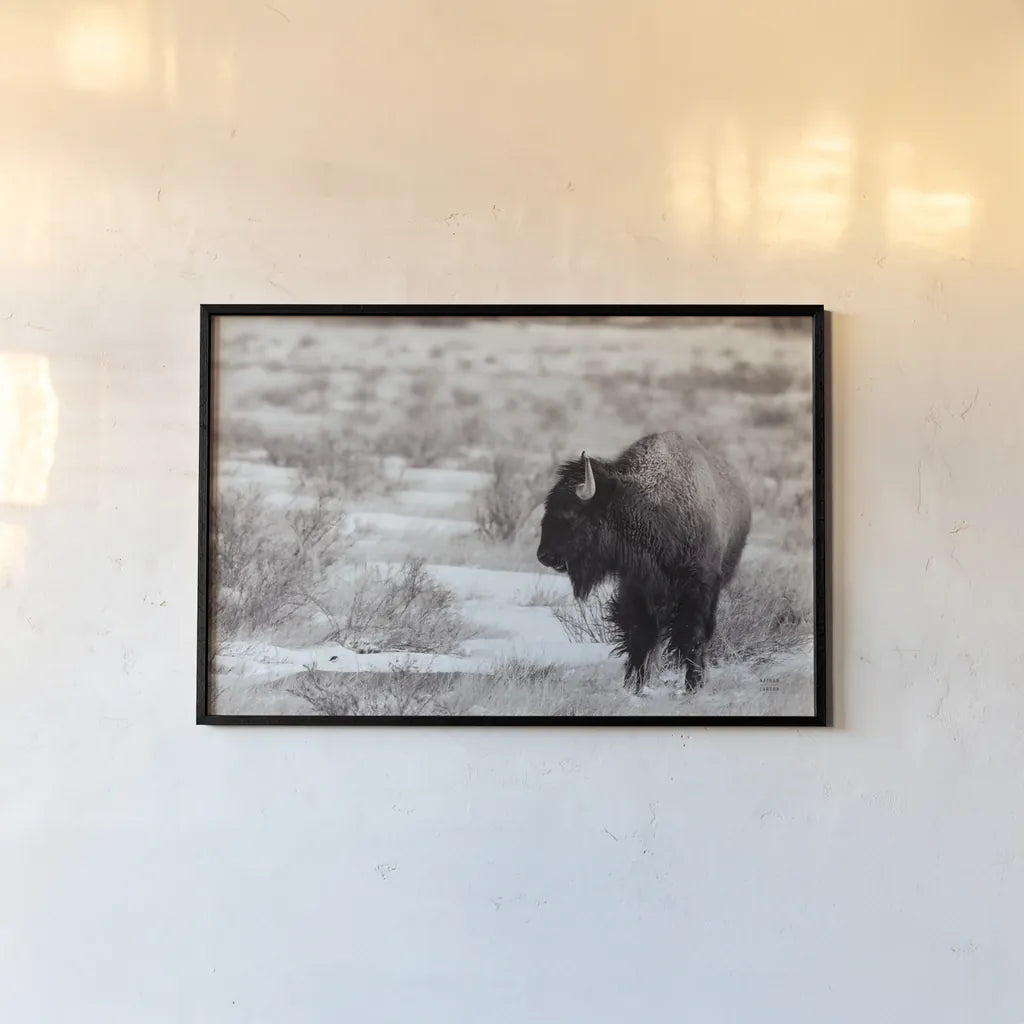 Lookout BW by Nathan Larson. shown as a paper print in a black flame. Available as a archival giclee rolled canvas, fine art paper, or poster print. SKU 84326i.