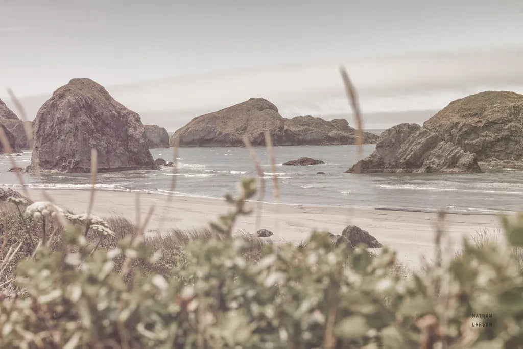 Lost Coast Discovery by Nathan Larson. SKU 97440i. Archival Giclee Fine art print for wall decor.