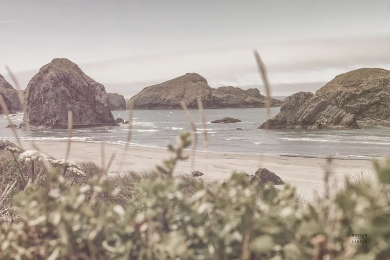 Lost Coast Discovery by Nathan Larson. SKU 97440i. Archival Giclee Fine art print for wall decor.