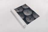 Lost Coast Sea Urchins I by Nathan Larson. shown as a rolled paper print. Available as archival giclee rolled canvas, fine art paper, or poster print. SKU 96958i.