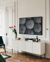 Lost Coast Sea Urchins I by Nathan Larson. shown as a framed stretched canvas in a living room above a console. Available as a archival giclee rolled canvas, fine art paper, or poster print. SKU 96958i.