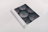 Lost Coast Sea Urchins II by Nathan Larson. shown as a rolled paper print. Available as archival giclee rolled canvas, fine art paper, or poster print. SKU 96959i.