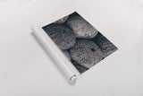 Lost Coast Sea Urchins III by Nathan Larson. shown as a rolled paper print. Available as archival giclee rolled canvas, fine art paper, or poster print. SKU 96960i.