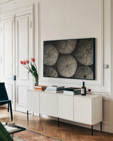 Lost Coast Sea Urchins Sepia II by Nathan Larson. shown as a framed stretched canvas in a living room above a console. Available as a archival giclee rolled canvas, fine art paper, or poster print. SKU 96964i.