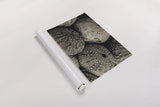 Lost Coast Sea Urchins Sepia III by Nathan Larson. shown as a rolled paper print. Available as archival giclee rolled canvas, fine art paper, or poster print. SKU 96965i.
