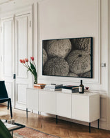 Lost Coast Sea Urchins Sepia III by Nathan Larson. shown as a framed stretched canvas in a living room above a console. Available as a archival giclee rolled canvas, fine art paper, or poster print. SKU 96965i.
