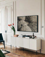 Lost Coast Sea Urchins Sepia V by Nathan Larson. shown as a framed stretched canvas in a living room above a console. Available as a archival giclee rolled canvas, fine art paper, or poster print. SKU 96967i.