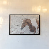 Lush Fields by Nathan Larson. shown as a paper print in a black flame. Available as a archival giclee rolled canvas, fine art paper, or poster print. SKU 98706i.