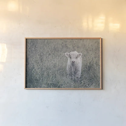 Meadow Calf by Nathan Larson. shown as a paper print in a natural frame. Available as a archival giclee rolled canvas, fine art paper, or poster print. SKU 89464i.