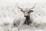 Meadow Guardian I by Nathan Larson. SKU 100480i. Archival Giclee Fine art print for wall decor.