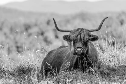 Meadow Guardian II by Nathan Larson. SKU 100481i. Archival Giclee Fine art print for wall decor.