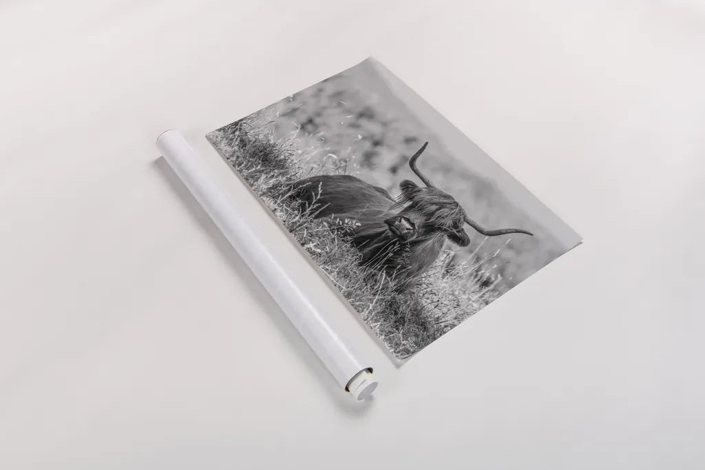 Meadow Guardian II by Nathan Larson. shown as a rolled paper print. Available as archival giclee rolled canvas, fine art paper, or poster print. SKU 100481i.