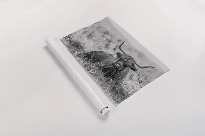 Meadow Guardian II by Nathan Larson. shown as a rolled paper print. Available as archival giclee rolled canvas, fine art paper, or poster print. SKU 100481i.