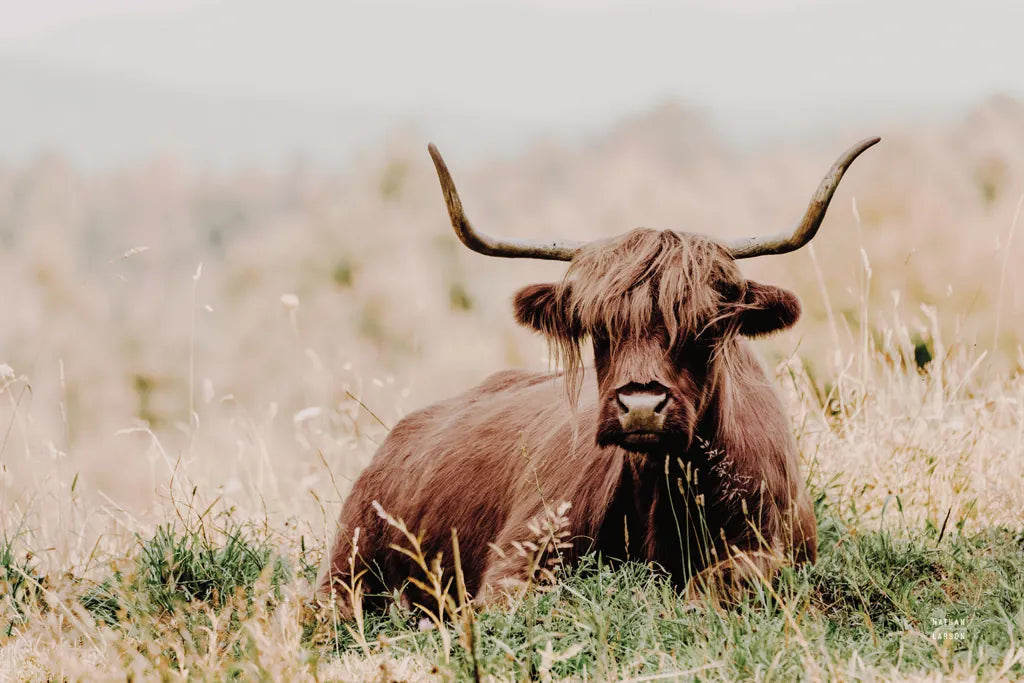 Meadow Guardian III by Nathan Larson. SKU 100482i. Archival Giclee Fine art print for wall decor.