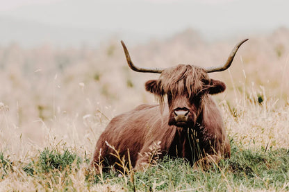 Meadow Guardian III by Nathan Larson. SKU 100482i. Archival Giclee Fine art print for wall decor.