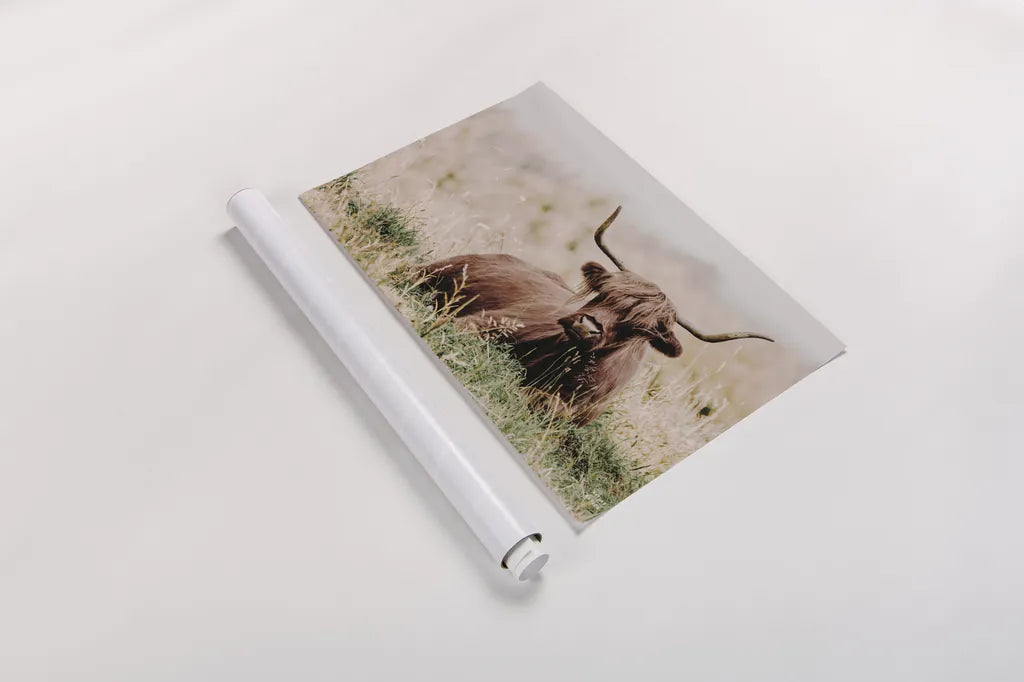 Meadow Guardian III by Nathan Larson. shown as a rolled paper print. Available as archival giclee rolled canvas, fine art paper, or poster print. SKU 100482i.