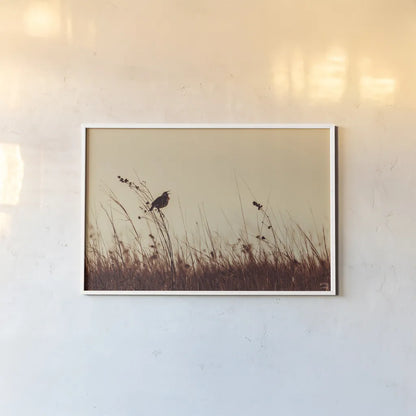 Meadowlark Call Antique by Nathan Larson. shown as a paper print in a white frame. Available as a archival giclee rolled canvas, fine art paper, or poster print. SKU 98337i.