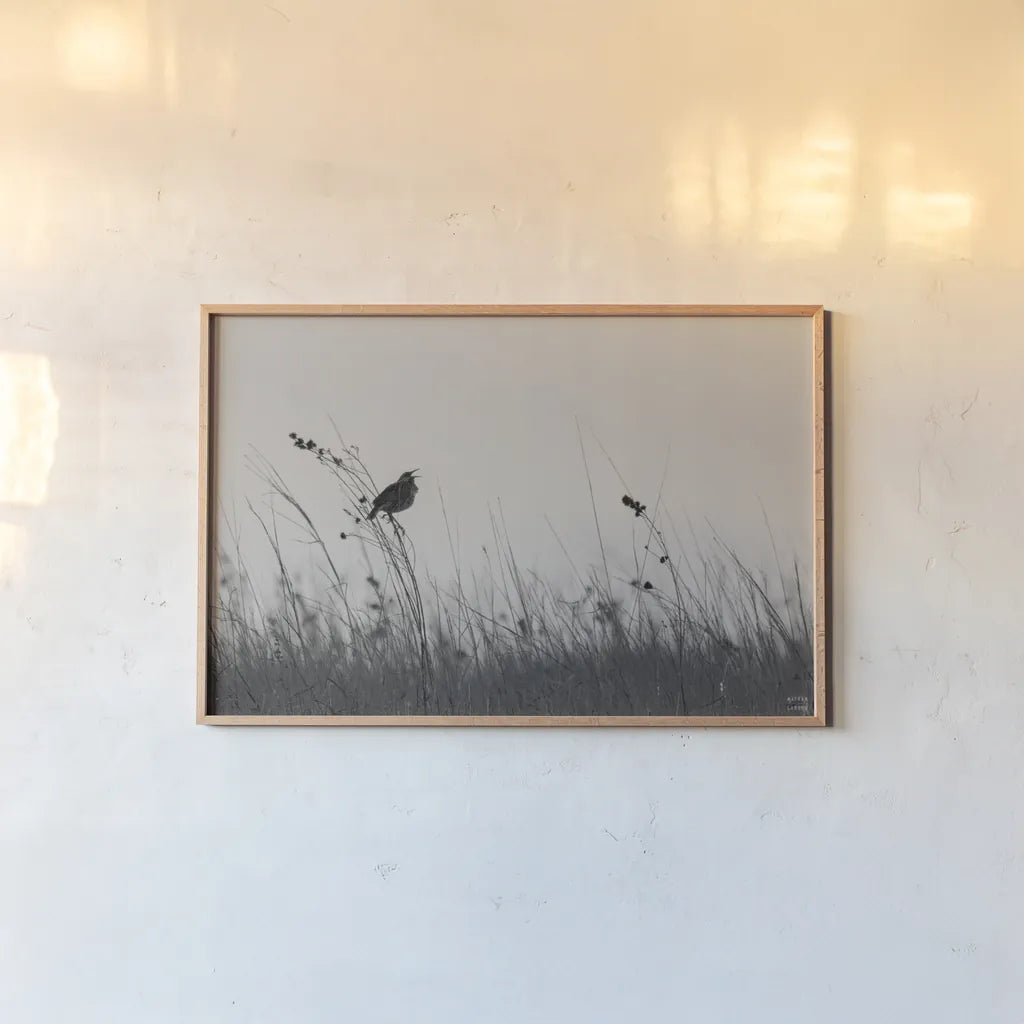 Meadowlark Call BW by Nathan Larson. shown as a paper print in a natural frame. Available as a archival giclee rolled canvas, fine art paper, or poster print. SKU 98338i.