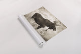 Medicine Bow Moose II by Nathan Larson. shown as a rolled paper print. Available as archival giclee rolled canvas, fine art paper, or poster print. SKU 89459i.