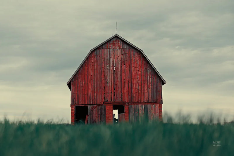 Middle America by Nathan Larson. SKU 98151i. Archival Giclee Fine art print for wall decor.