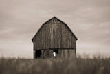 Middle America Sepia by Nathan Larson. SKU 98152i. Archival Giclee Fine art print for wall decor.