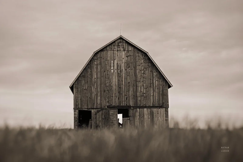 Middle America Sepia by Nathan Larson. SKU 98152i. Archival Giclee Fine art print for wall decor.