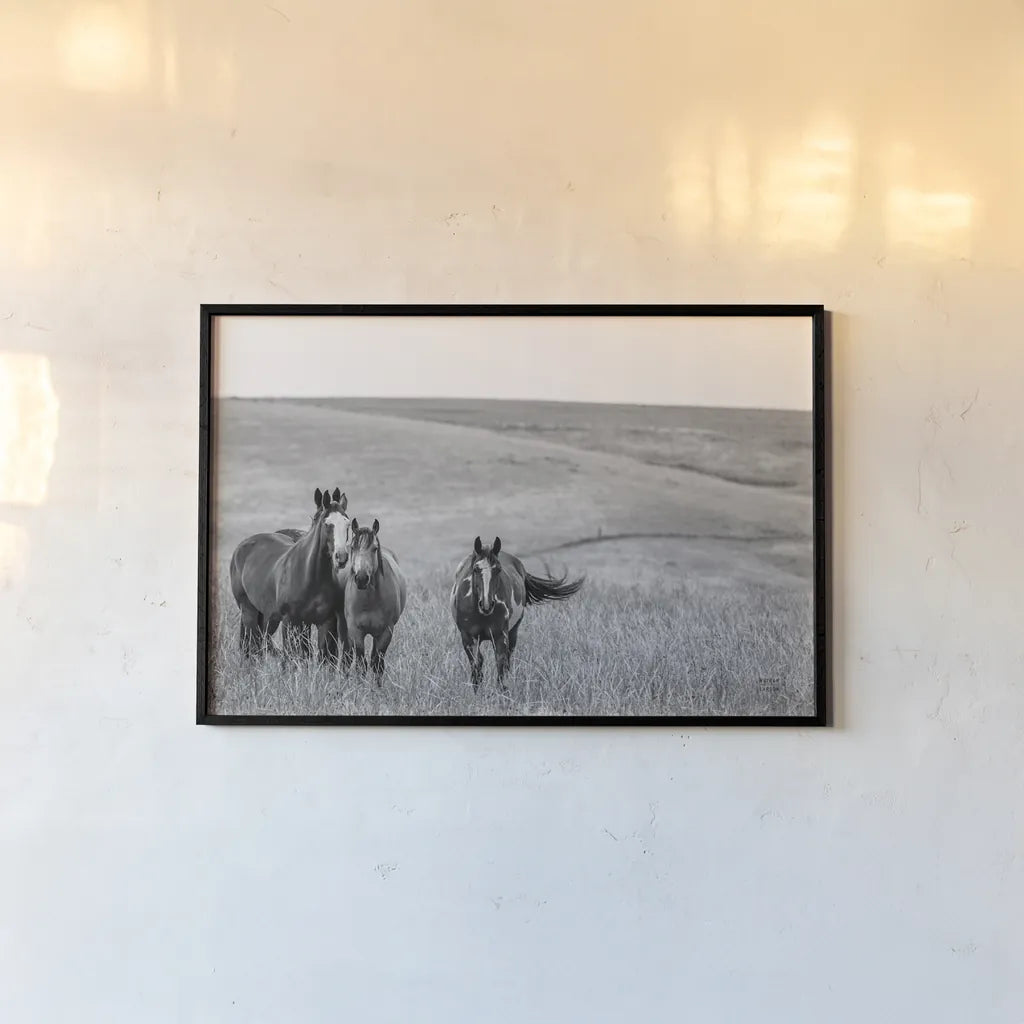 Montana Moves by Nathan Larson. shown as a paper print in a black flame. Available as a archival giclee rolled canvas, fine art paper, or poster print. SKU 77217i.