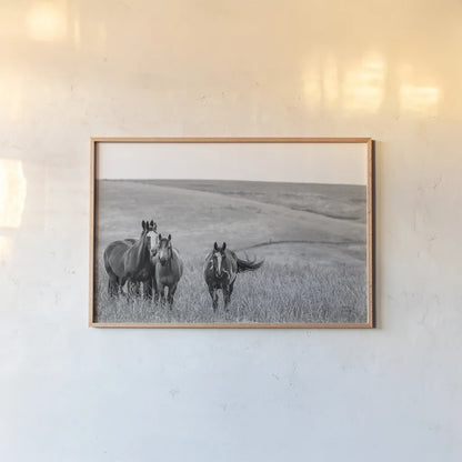Montana Moves by Nathan Larson. shown as a paper print in a natural frame. Available as a archival giclee rolled canvas, fine art paper, or poster print. SKU 77217i.