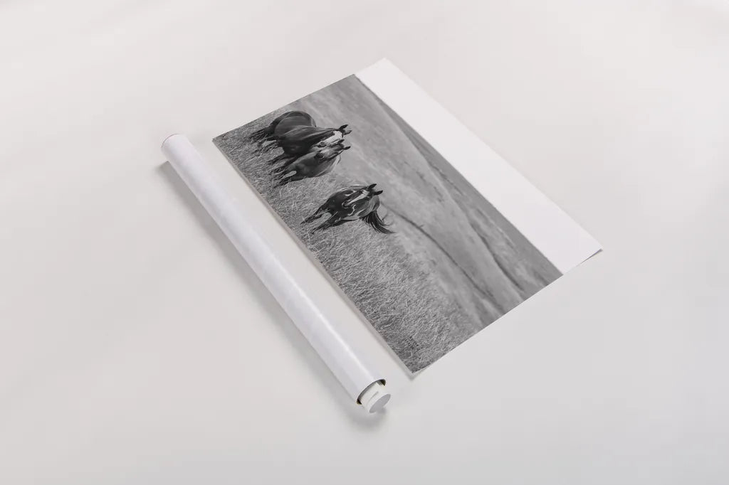 Montana Moves v2 by Nathan Larson. shown as a rolled paper print. Available as archival giclee rolled canvas, fine art paper, or poster print. SKU 83055i.