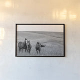 Montana Moves v2 by Nathan Larson. shown as a paper print in a black flame. Available as a archival giclee rolled canvas, fine art paper, or poster print. SKU 83055i.