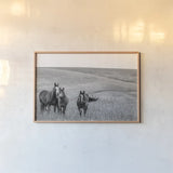 Montana Moves v2 by Nathan Larson. shown as a paper print in a natural frame. Available as a archival giclee rolled canvas, fine art paper, or poster print. SKU 83055i.