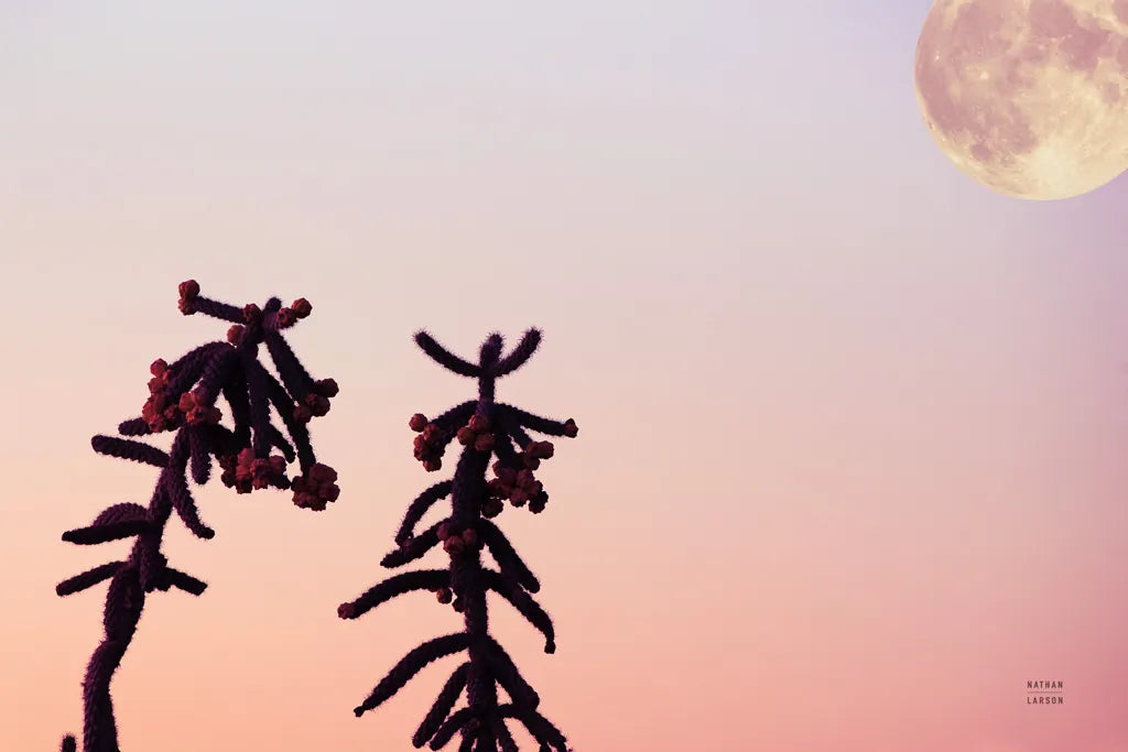Moon Desert by Nathan Larson. SKU 76444i. Archival Giclee Fine art print for wall decor.