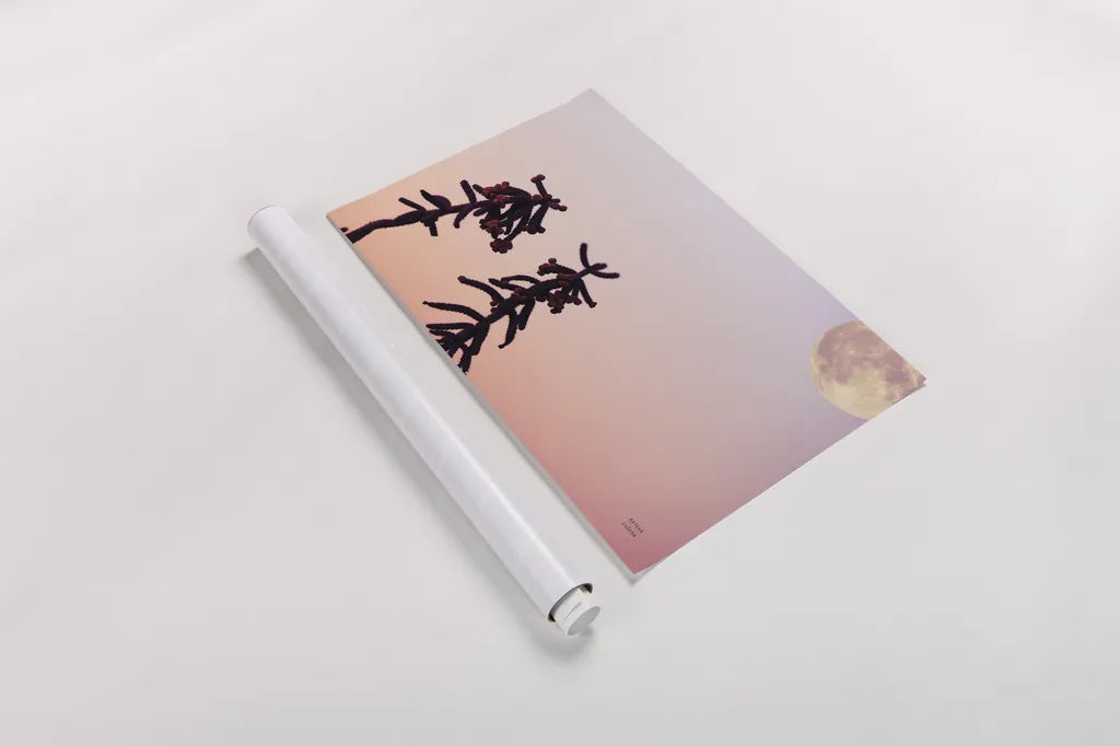 Moon Desert by Nathan Larson. shown as a rolled paper print. Available as archival giclee rolled canvas, fine art paper, or poster print. SKU 76444i.