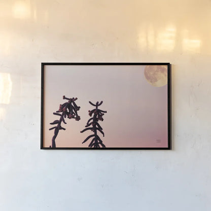 Moon Desert by Nathan Larson. shown as a paper print in a black flame. Available as a archival giclee rolled canvas, fine art paper, or poster print. SKU 76444i.