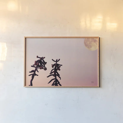 Moon Desert by Nathan Larson. shown as a paper print in a natural frame. Available as a archival giclee rolled canvas, fine art paper, or poster print. SKU 76444i.