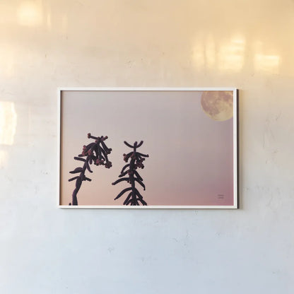 Moon Desert by Nathan Larson. shown as a paper print in a white frame. Available as a archival giclee rolled canvas, fine art paper, or poster print. SKU 76444i.