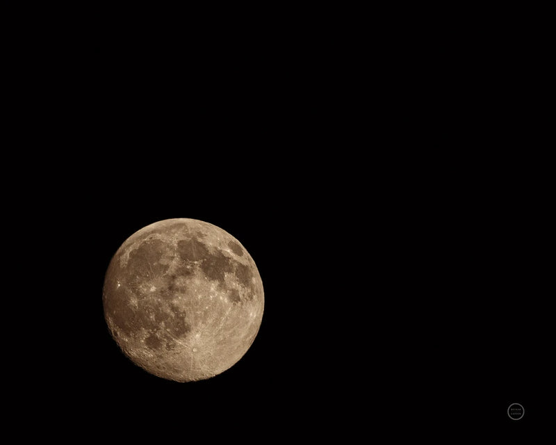 Moon Detail II by Nathan Larson