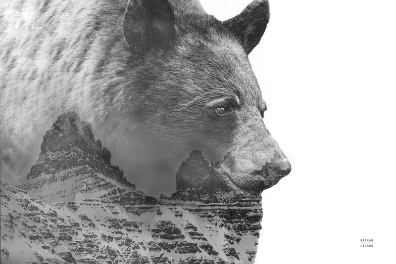 Mountain Bear by Nathan Larson. SKU 80435i. Archival Giclee Fine art print for wall decor.