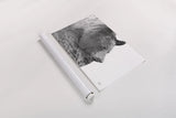 Mountain Bear by Nathan Larson. shown as a rolled paper print. Available as archival giclee rolled canvas, fine art paper, or poster print. SKU 80435i.