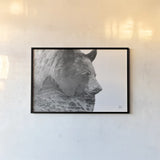 Mountain Bear by Nathan Larson. shown as a paper print in a black flame. Available as a archival giclee rolled canvas, fine art paper, or poster print. SKU 80435i.