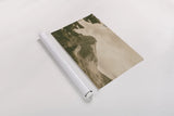 Mountain Memories by Nathan Larson. shown as a rolled paper print. Available as archival giclee rolled canvas, fine art paper, or poster print. SKU 87638i.