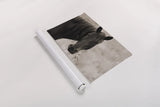 Munchies by Nathan Larson. shown as a rolled paper print. Available as archival giclee rolled canvas, fine art paper, or poster print. SKU 98708i.