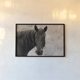 Munchies by Nathan Larson. shown as a paper print in a black flame. Available as a archival giclee rolled canvas, fine art paper, or poster print. SKU 98708i.