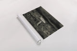 Mushroom Chronicles I by Nathan Larson. shown as a rolled paper print. Available as archival giclee rolled canvas, fine art paper, or poster print. SKU 103462i.