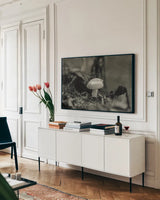 Mushroom Chronicles II by Nathan Larson. shown as a framed stretched canvas in a living room above a console. Available as a archival giclee rolled canvas, fine art paper, or poster print. SKU 103463i.
